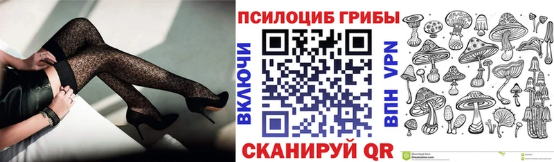 Купить где  Зеленокумск  Галлюциногенные грибы прущие грибы 